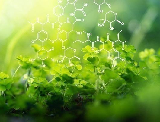 Crop protection, Food, Feed and Flavor Chemicals